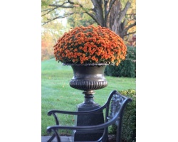 ead0e1a0fd6dca07b4fbb015f496fd6b