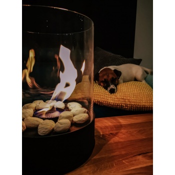 91874302_573110879961832_5510471984552607744_n